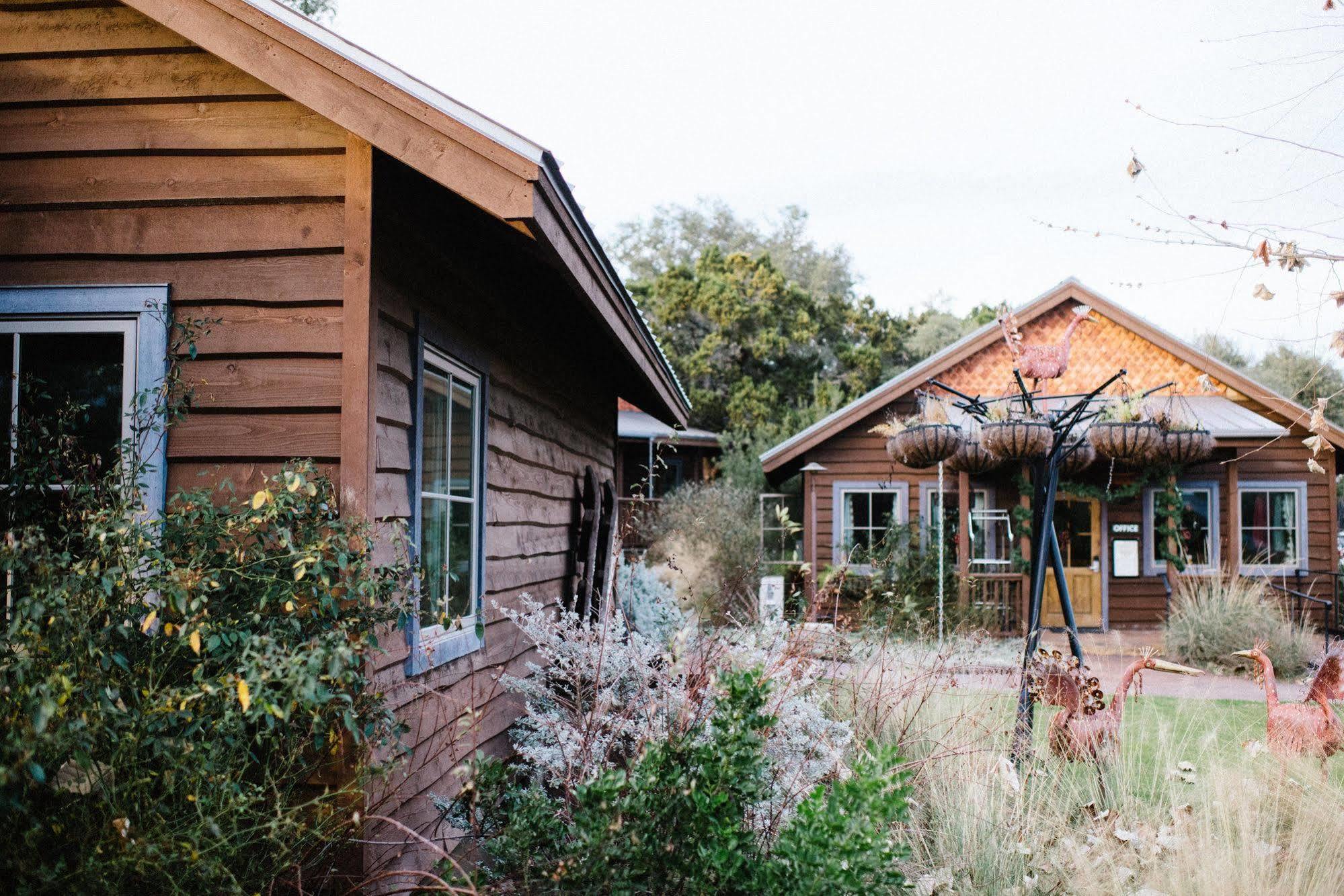 Camp Lucy Hotel Dripping Springs Bagian luar foto